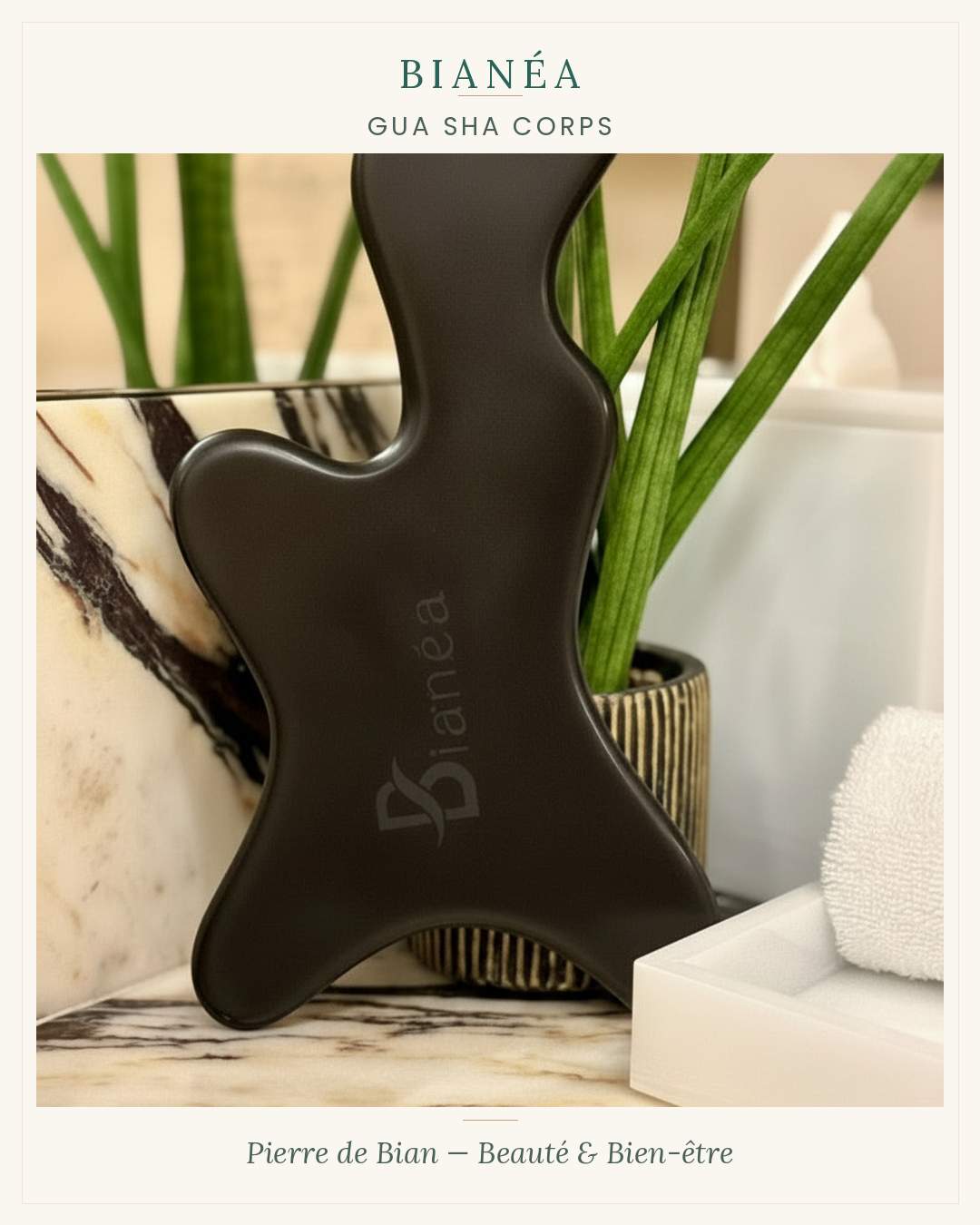 Relance les circulations • Libère les tensions •  Allège le corps