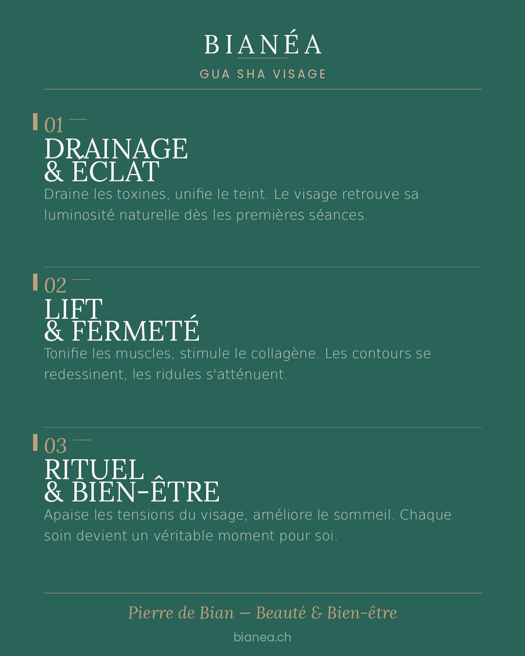 Gua Sha Visage Bianéa  - Contours et précision