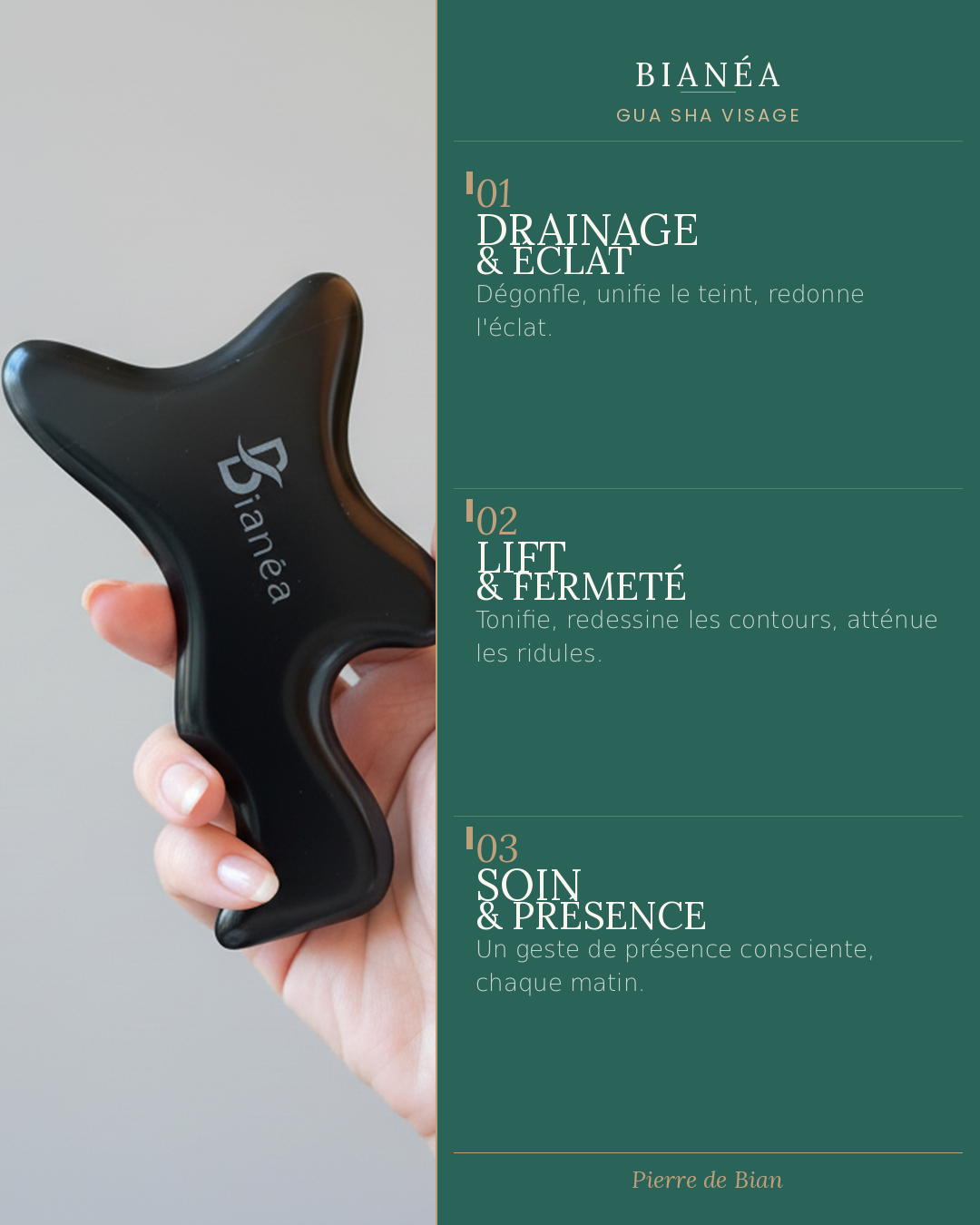 Gua Sha Visage Bianéa  - Contours et précision